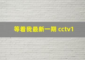 等着我最新一期 cctv1